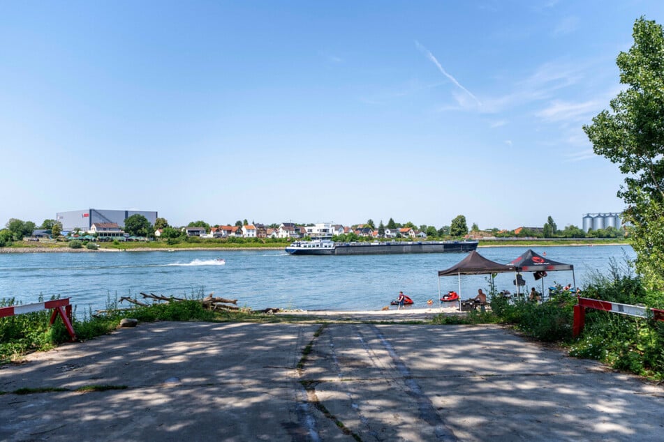 Die Nato-Rampe bei Biblis ist eine beliebte Einstiegsstelle zum Baden im Rhein.