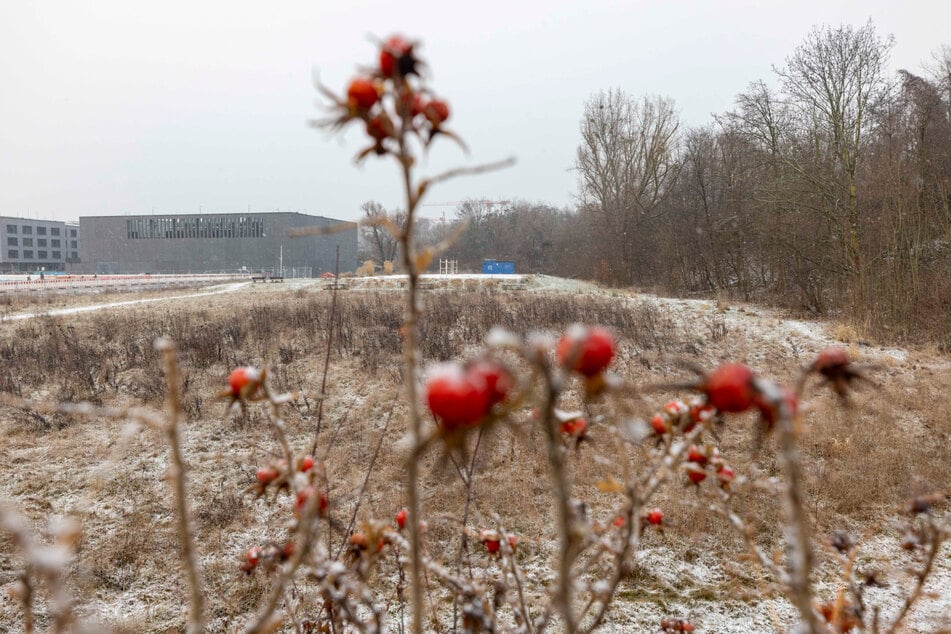 An dieser Stelle - hinter Unigebäuden - könnte die Sportanlage entstehen.