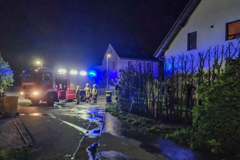 Eine Hecke und eine Mülltonne zweier Grundstücke brannten in der Nacht zu Donnerstag in Delitzsch.
