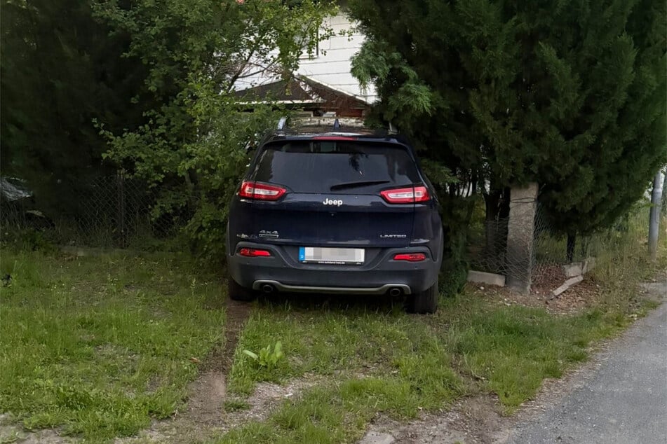 Der Jeep kam erst in einer Hecke zum Stehen.
