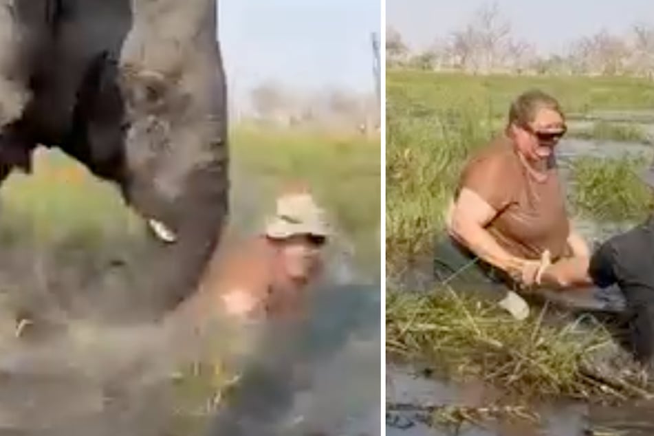 Der Elefantenbulle drückte eine Touristin mit seinem Rüssel unter Wasser, ließ jedoch kurz darauf von ihr ab.