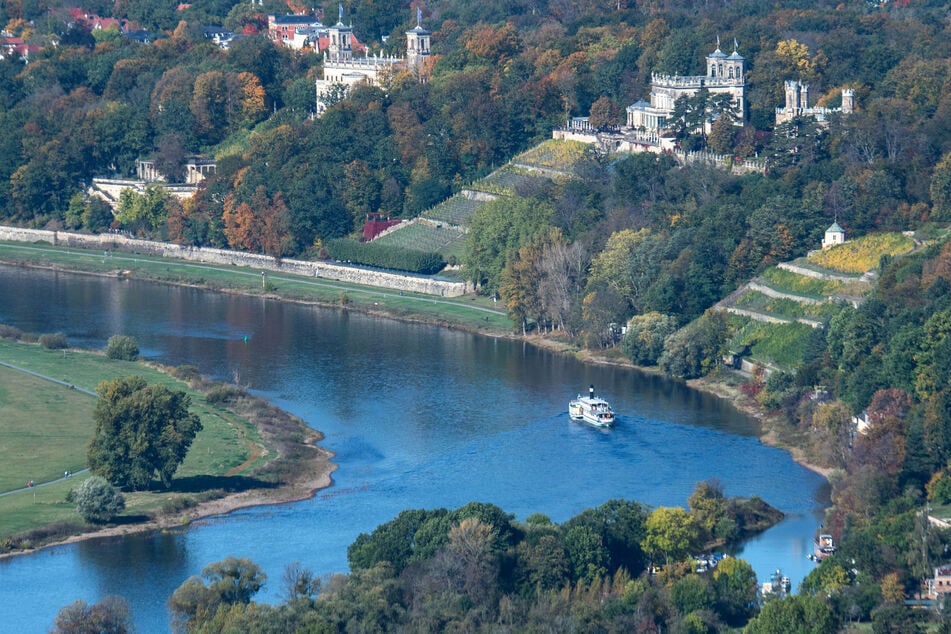 Natur pur gibt es rund um die Elbe in Dresden.