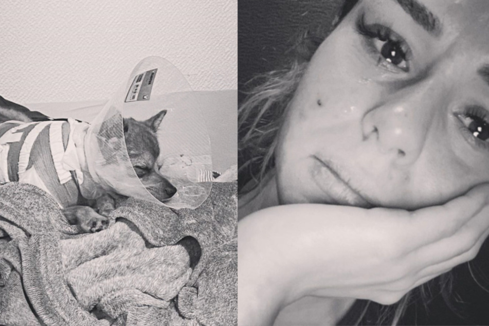 Für die Hunde-Mama sitzt der Schock noch immer tief.