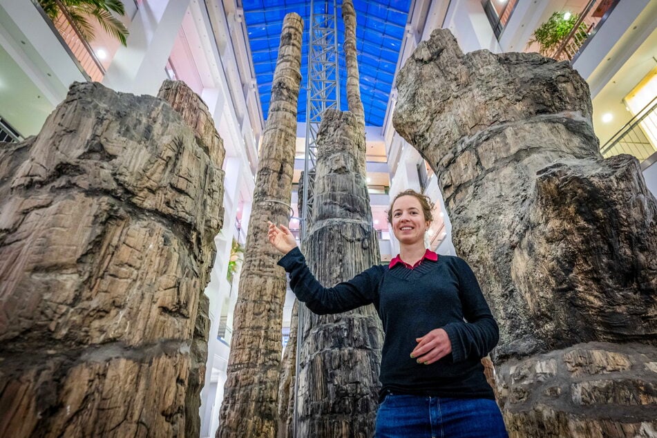 Anna Lanfermann (33, Grüne) wollte den Versteinerten Wald zu einem Touristenmagneten machen.