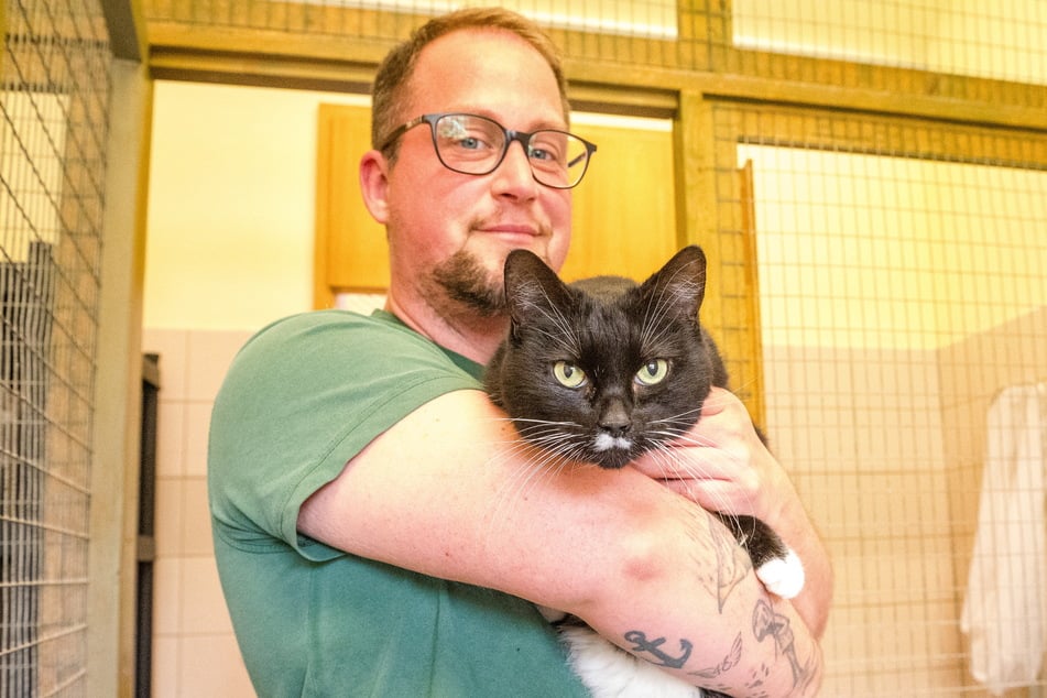 Katzenpfleger Joris Matschei (35) mit Katze Mutzel (7), die eine Krebserkrankung überstanden hat und als schwer vermittelbar gilt.