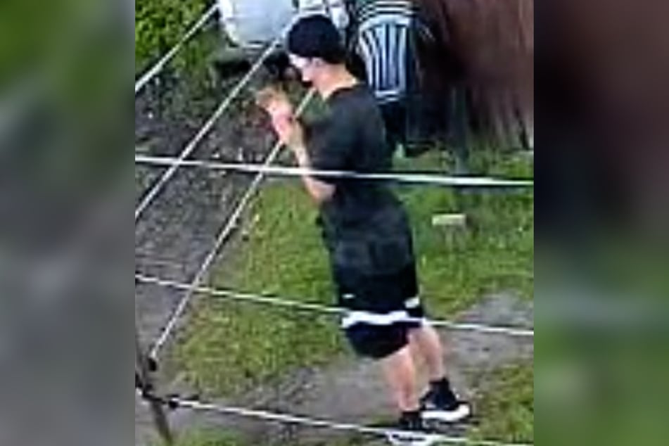 Der junge Mann wurde von Manja Buchmanns (34) Kameras eingefangen. Sie konnte ihn durch Rufe vertreiben.