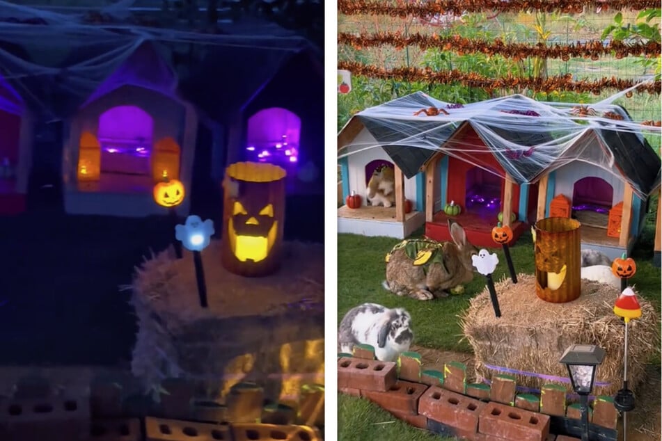 A farmer has revealed the spooky makeover she gave her hobby farm for Halloween.