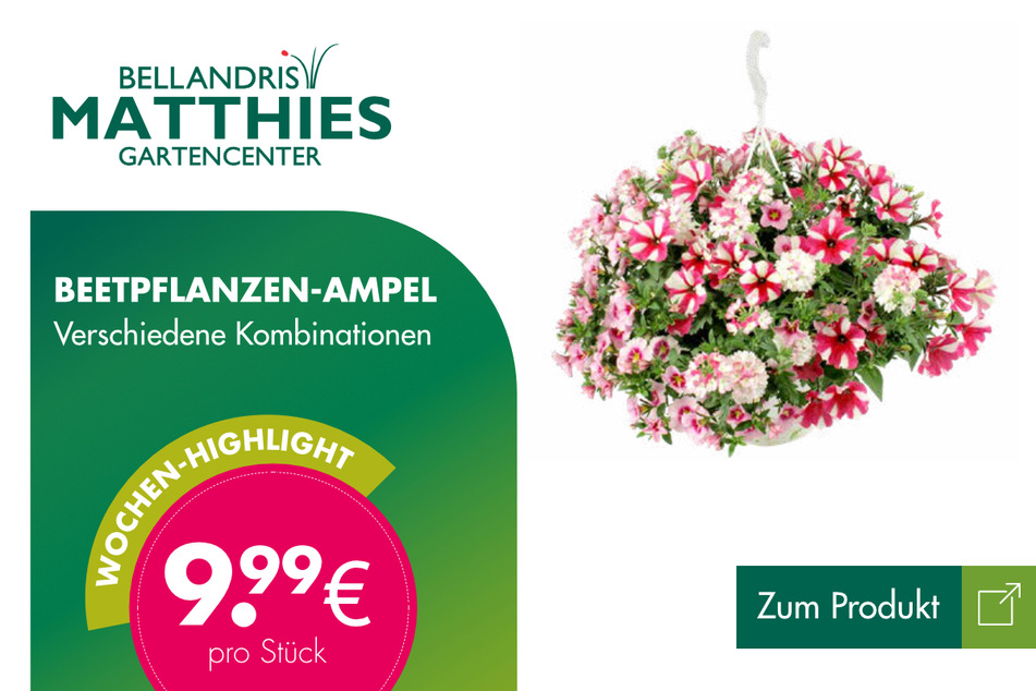 Beetpflanzen-Ampeln für je 9,99 Euro