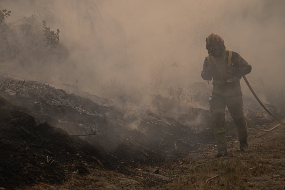 Nach heftigen Waldbränden: Zwei 81-Jährige wegen Brandstiftung festgenommen