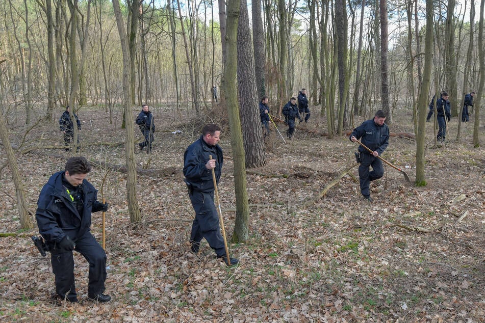 Im vergangenen Herbst gab es einen erneuten Großeinsatz in Brandenburg. (Archivbild)
