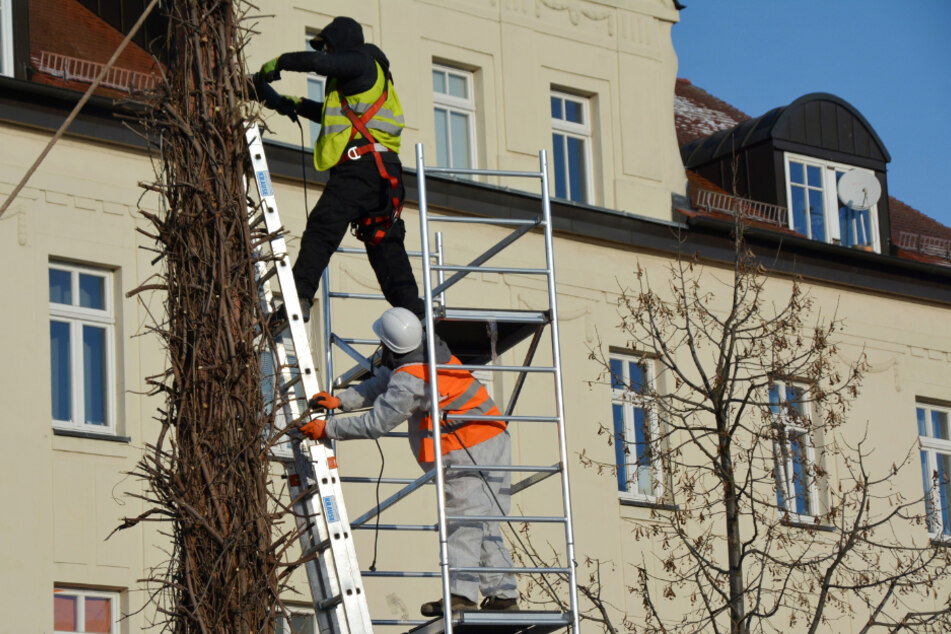 Mitarbeiter eines Abrissunternehmens rückten am gestrigen Sonntagmorgen in Taucha an...