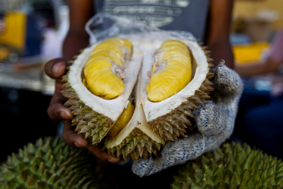 In dem Paket befand sich eine Durian oder auch Stink- beziehungsweise Kotzfrucht genannt.