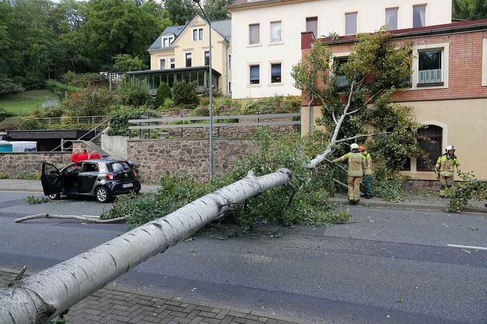 Beim Unfall auf zwischen dem Tunnel und der Autobahnbrücke wurde die Autofahrerin leicht verletzt.