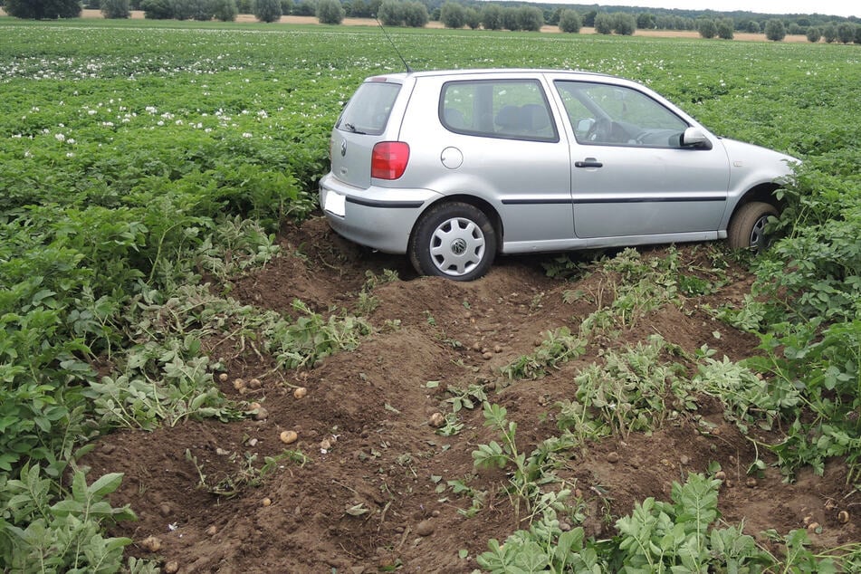 VW kommt von Straße ab und landet im Feld: Aber wo ist der Fahrer?