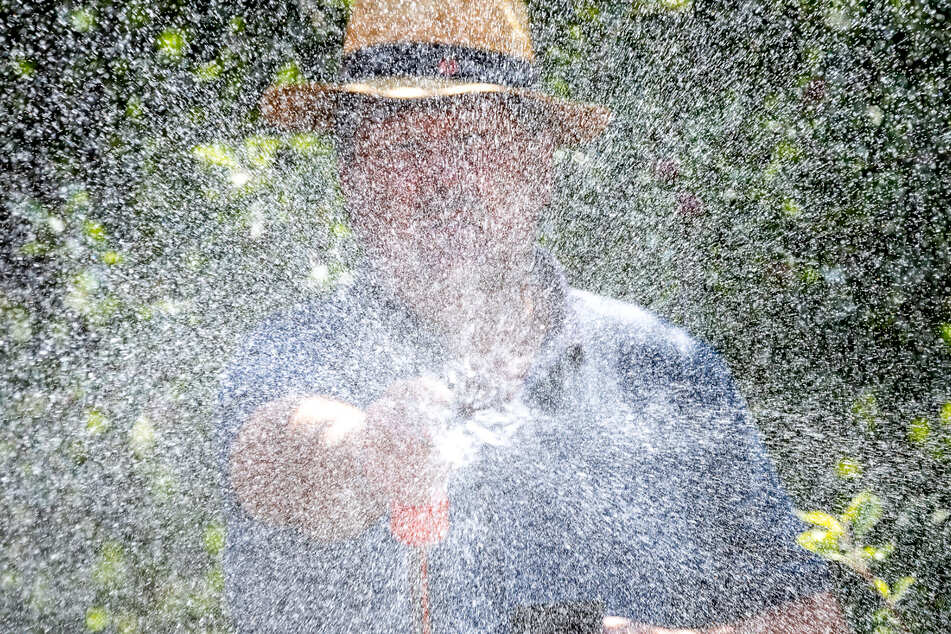 Ein Mann spritzt mit einem Gartenschlauch Brunnenwasser auf die Rosenbeete in seinem Kleingarten.