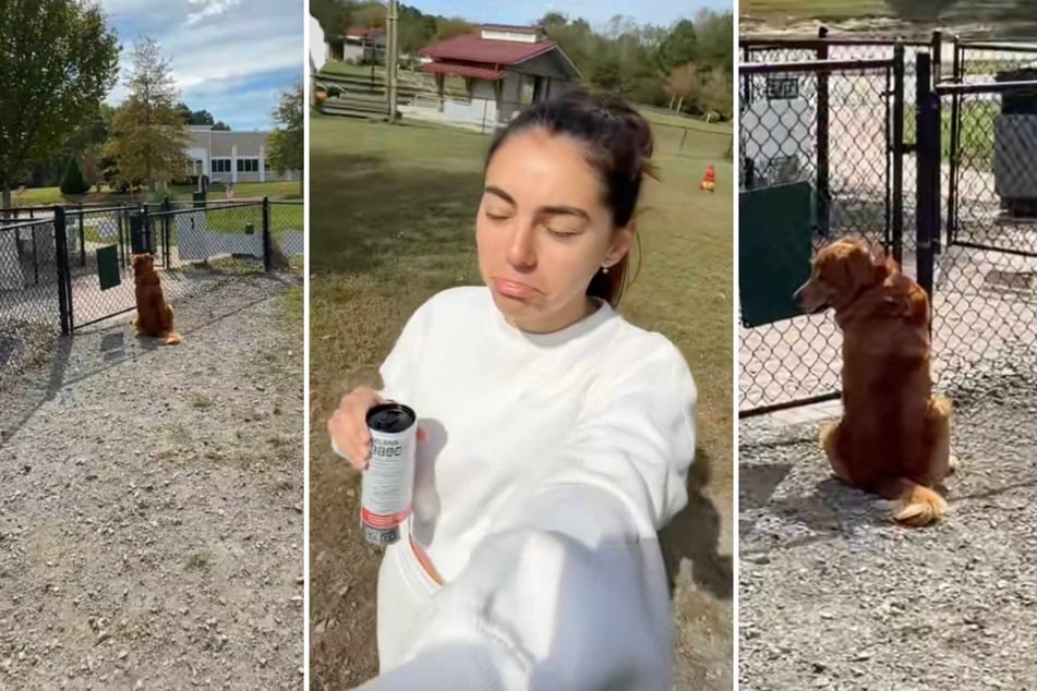 This well-meaning pet owner decided to take her Golden Retriever to a dog park one day. What happened there, however, broke her heart.