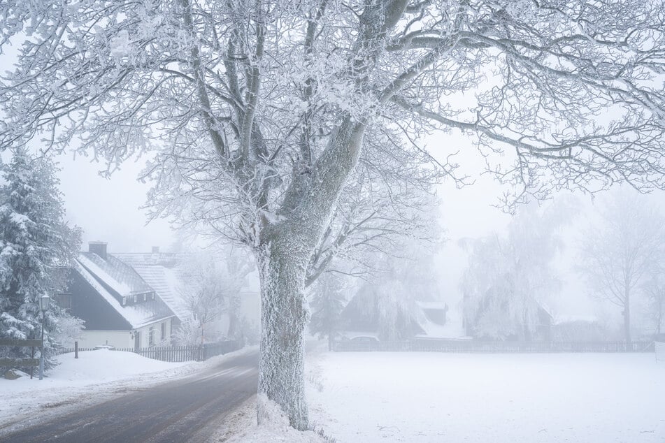 Mit fast -20 Grad verzeichnete Sachsen den kältesten Wert Deutschlands in diesem Winter. Gleichzeitig schien nirgendwo sonst so viel Sonne.