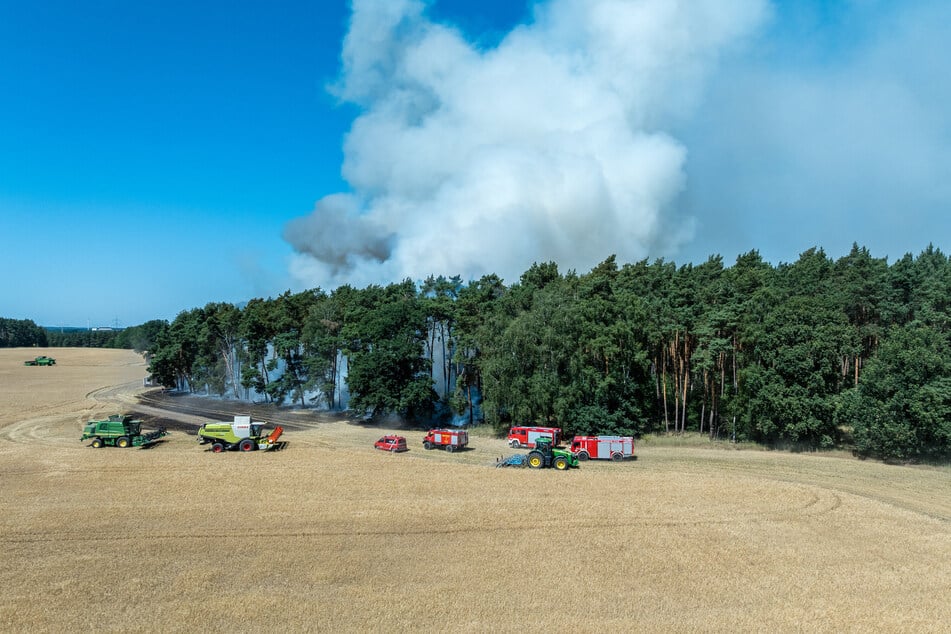Alarmierte Einsatzkräfte stehen am Rande des Waldes, wo das Feuer ausbrach.