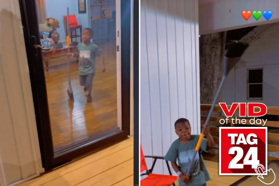 Today's Viral Video of the Day features a little boy who isn't afraid of going after large spiders!