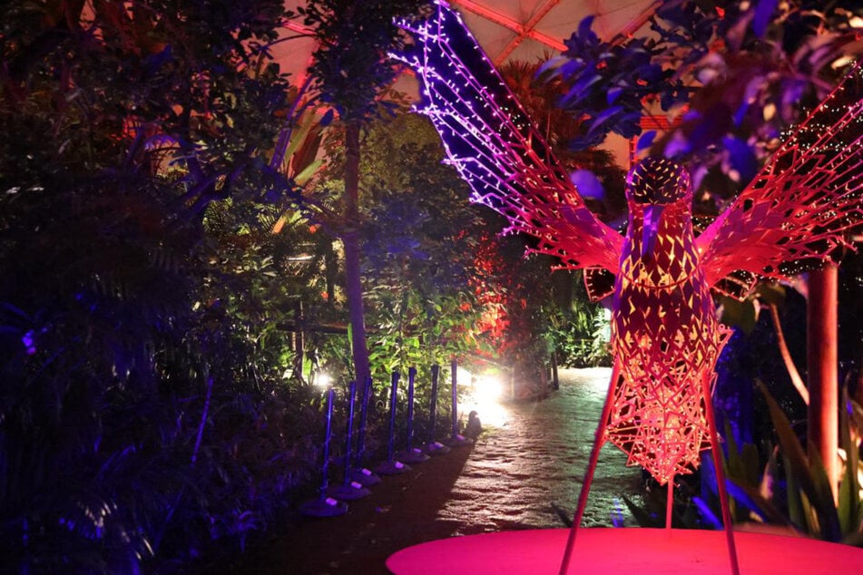 Magie im Dunkeln: Zoo Leipzig wird zur leuchtenden Erlebniswelt