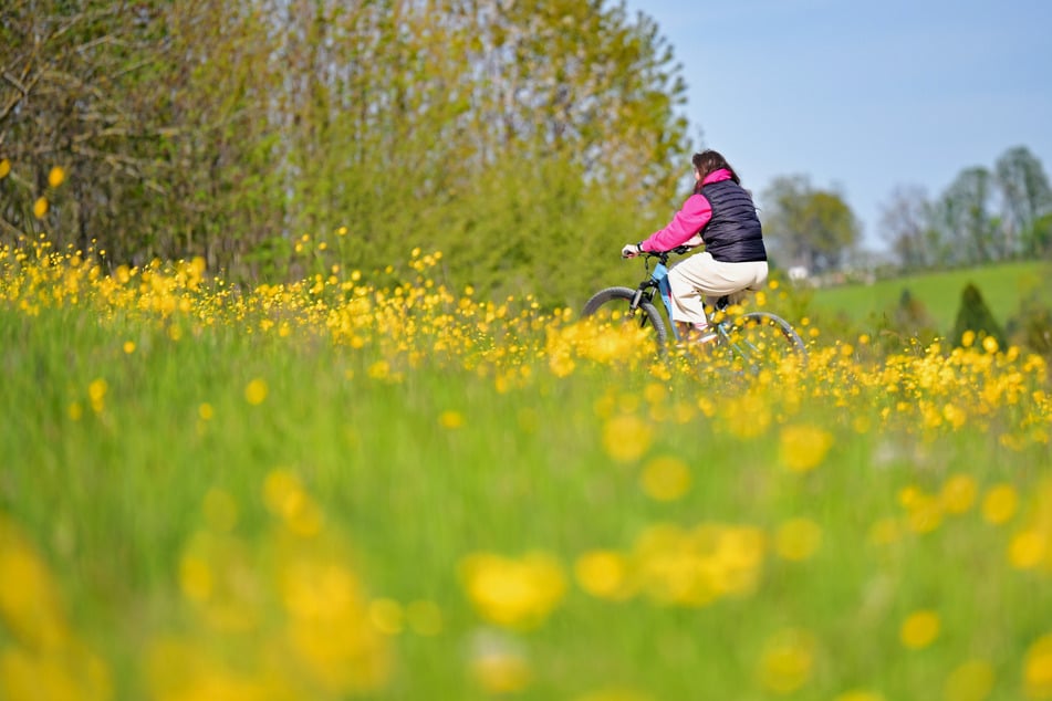 Sonne pur zum Mai-Start: Bis zu 26 Grad in NRW in Sicht