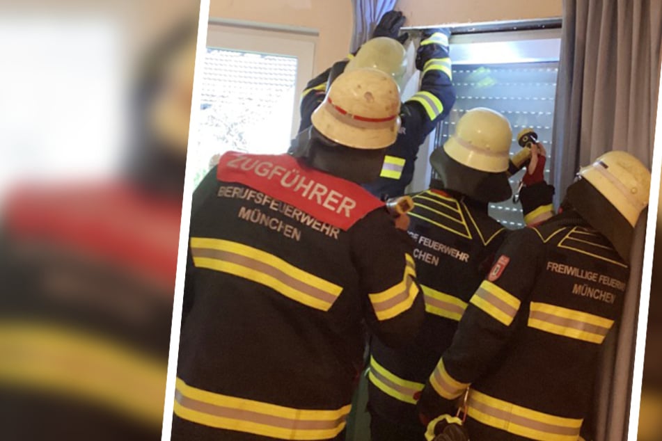 München: Mann will Wespennest entfernen und löst Feuerwehreinsatz aus
