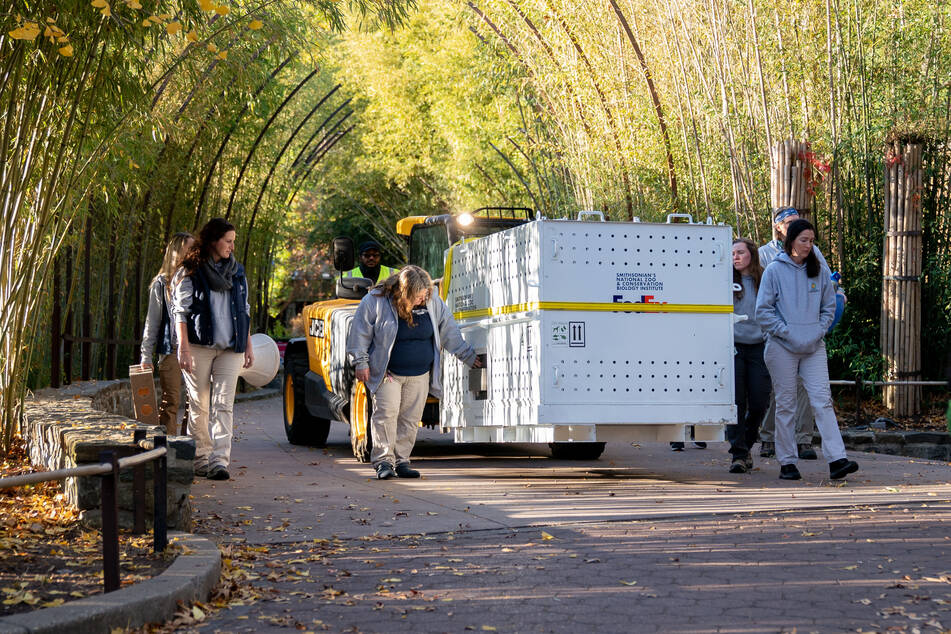 A crate carrying Panda Mei Xiang is moved out of the Smithsonian National Zoo in Washington DC on November 8, 2023.