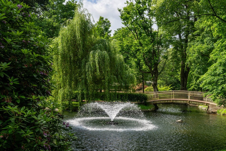 Im Arthur-Richter-Park in Neustadt/Sachsen wird am kommenden Mittwoch (25. Juni 2025) um 16 Uhr im Beisein des Bürgermeisters ein Gedenkbaum für Bernhard Thieme gepflanzt.