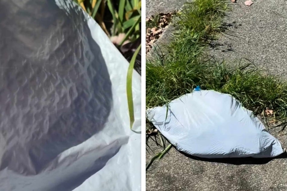 This bag moved and delicate mewing cat noises could be heard.