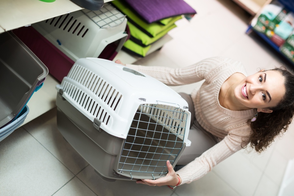 Mit der richtigen Transportbox-Wahl sorgt man für sicheren Reisekomfort für seinen Hund.