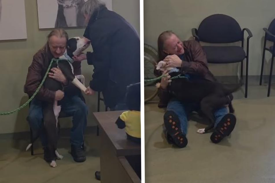 Wallace und seine neuen Besitzer: Liebe auf den ersten Blick!