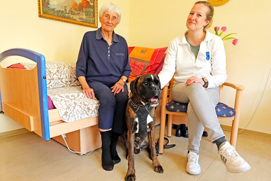 In den PKP Seniorenheimen sind auch Haustiere herzlich willkommen.