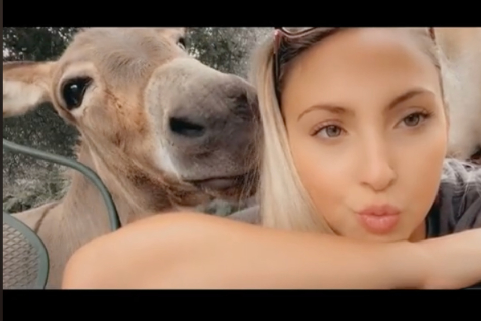 Sophie and her donkey DomDom pose for selfies on TikTok.