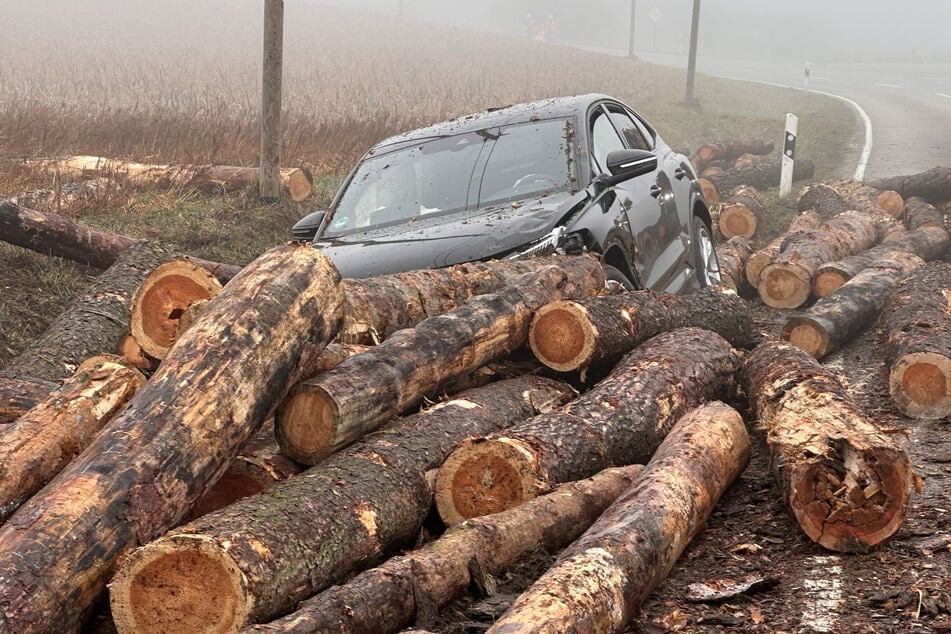 "Final Destination" in Bayern: Auto unter Baumstämmen begraben