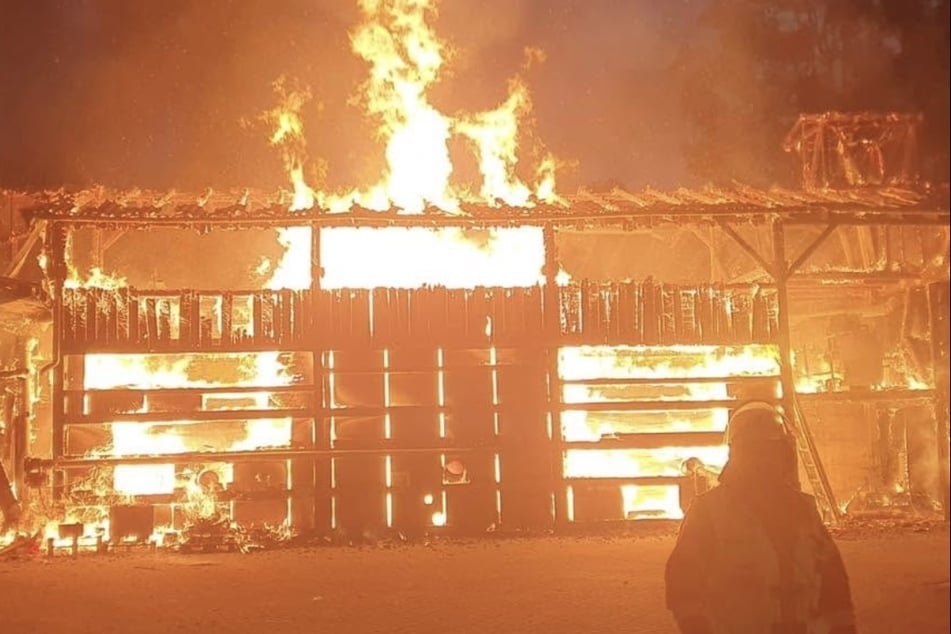 Feuerwehrleute konnten das vollständige Abbrennen des Korianderlagers nicht mehr verhindern.