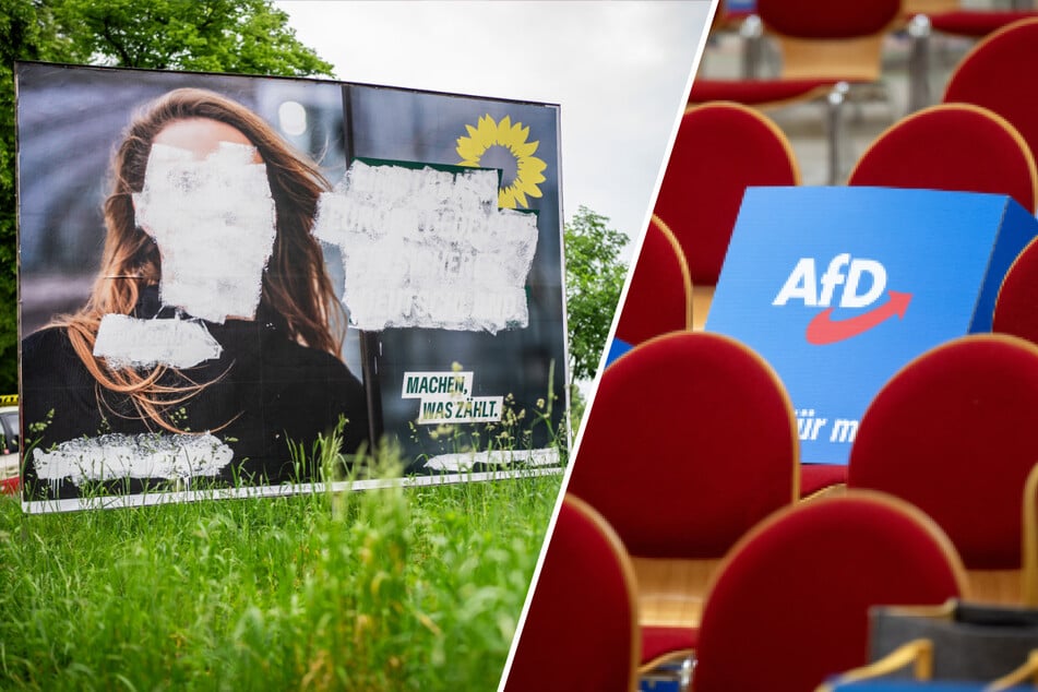 Grünen-Spitze fordert "Task-Force" zur Sammlung von Material zur AfD