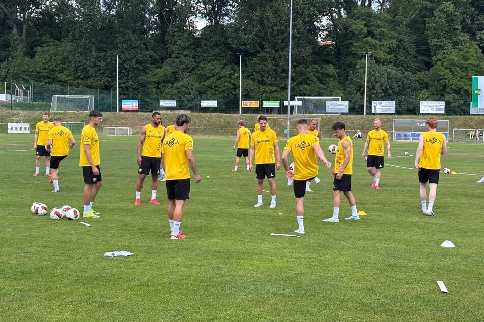Die Spieler auf dem Rasen.