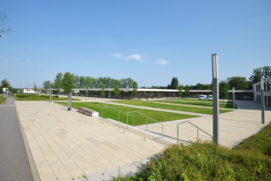 Der Terra-Nova-Campus ist zwar schon etwas grün, hat aber noch viel mehr Saugpotential, findet der Umweltaktivist.