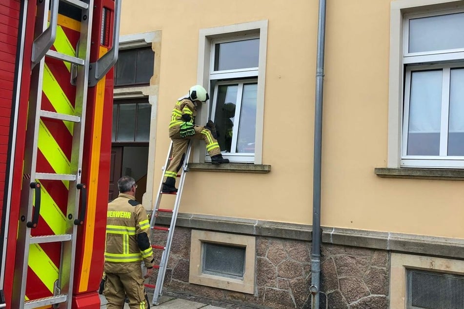 Mithilfe einer Leiter und Schutzhandschuhen konnten zwei Kameraden die gefangene Katze befreien.