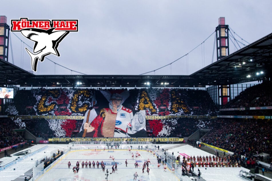 Terminchaos in der Arena: Kölner Haie müssen zwei weitere Male ins Fußballstadion