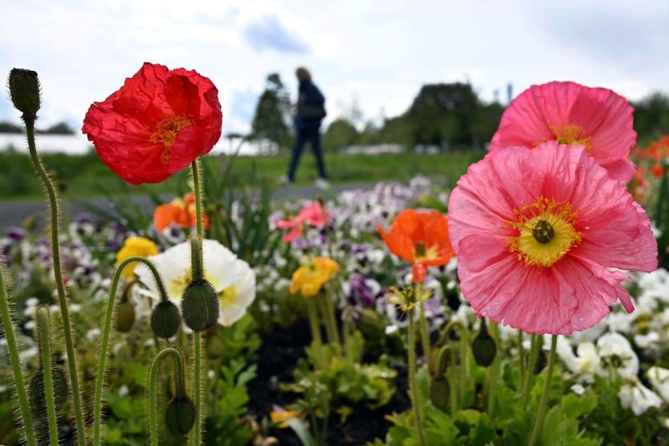 Ungemütlicher Wochenstart in NRW: Dann wird das Wetter wieder freundlicher