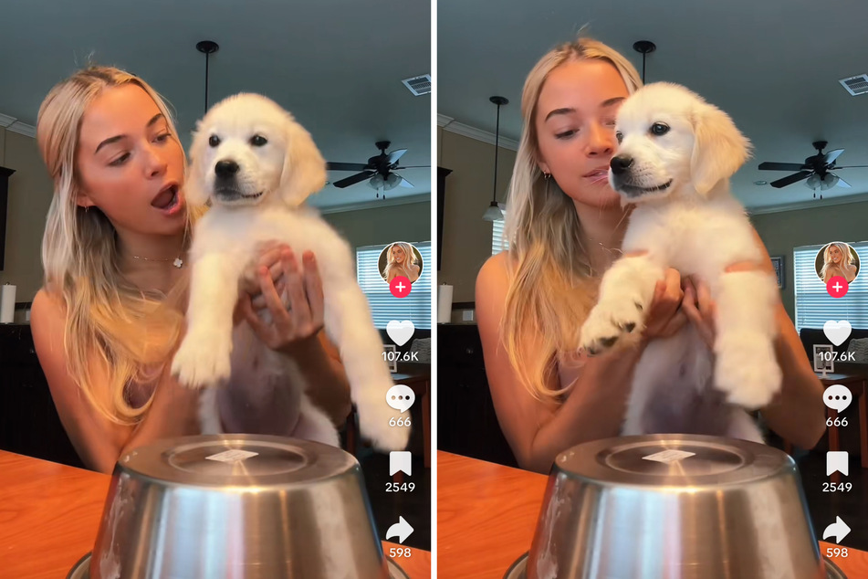 Olivia Dunne introduced her precious new puppy to her millions of TikTok followers.