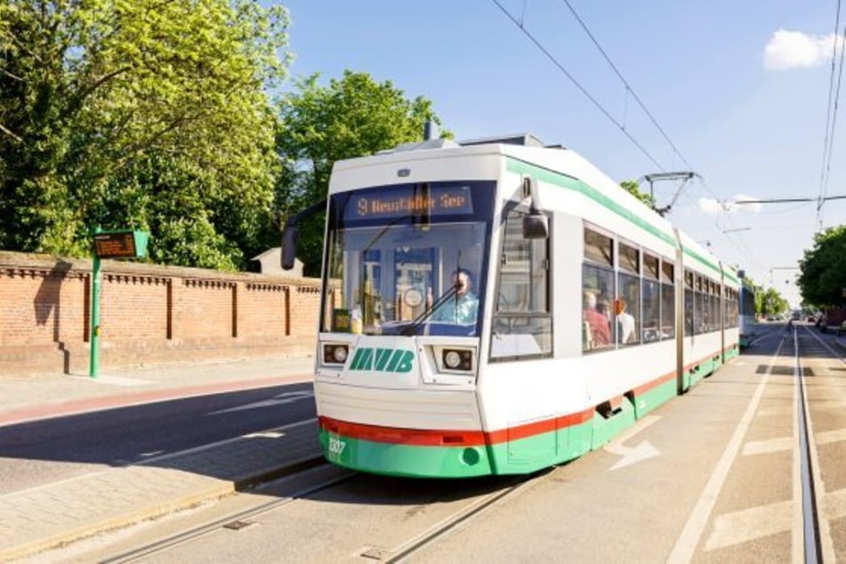 Informiert unterwegs: News und aktuelle Meldungen der Magdeburger Verkehrsbetriebe (MVB) im Überblick.