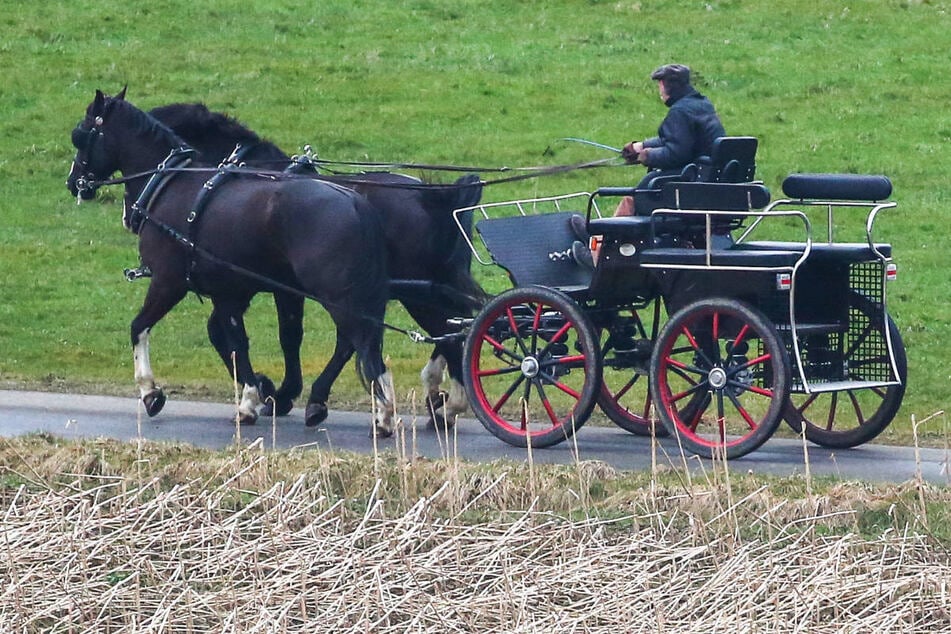 Tödliche Kutschfahrt in Brandenburg