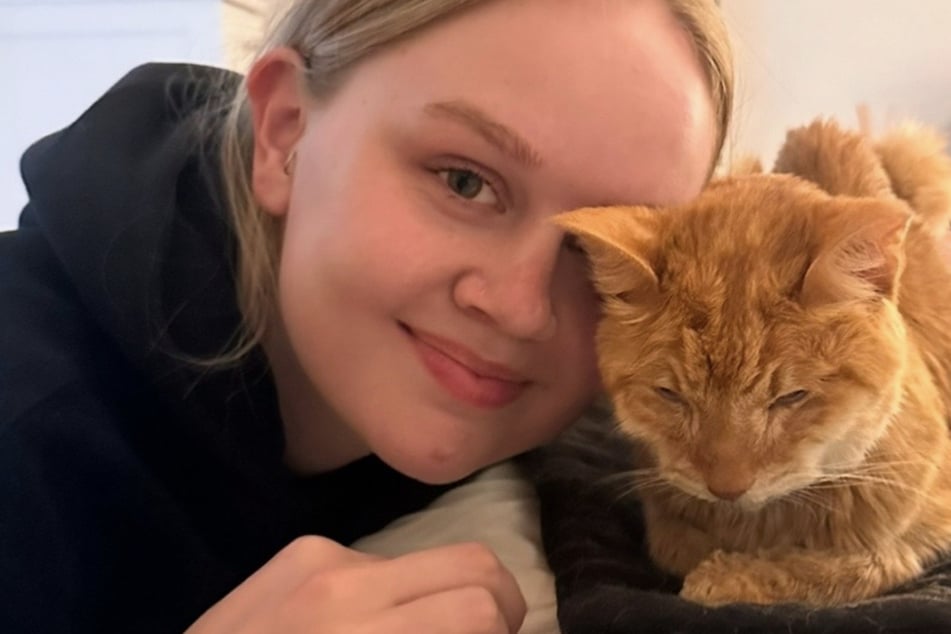 Hannah llora la pérdida de su amada gata, pero un año después recibe una última señal de ella.