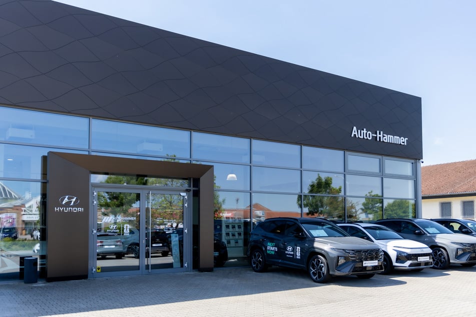 Abverkauf bei Auto-Hammer gestartet: Diese Hyundais sind betroffen