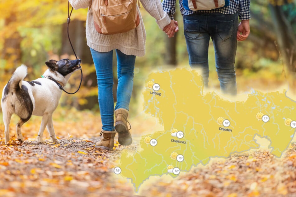 Ein Spaziergang im Wald ist ungefährlich: Das sollte man in der Woche gut nutzen.