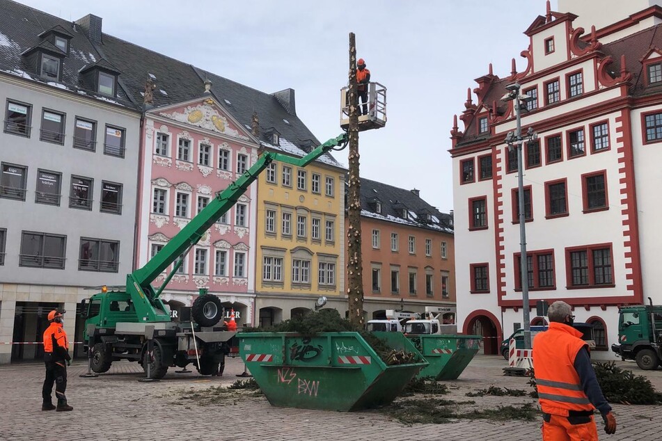Der Baum wurde diesmal nicht gefällt, sondern abgetragen.