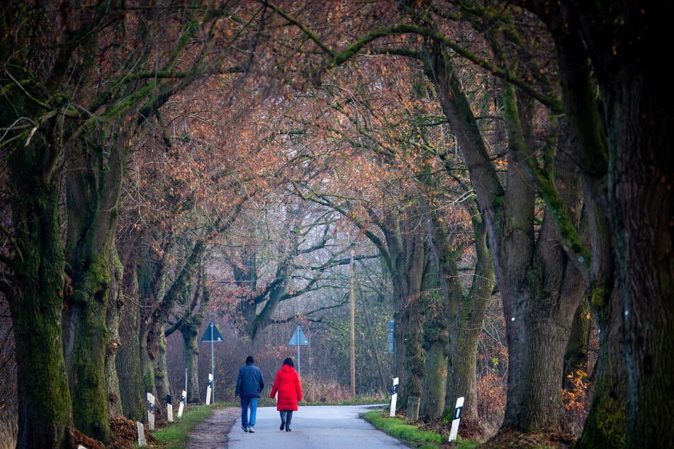 Die Temperaturen laden an diesem Wochenende zu einem Spaziergang in NRW ein - regenfeste Kleidung ist jedoch ein Muss.