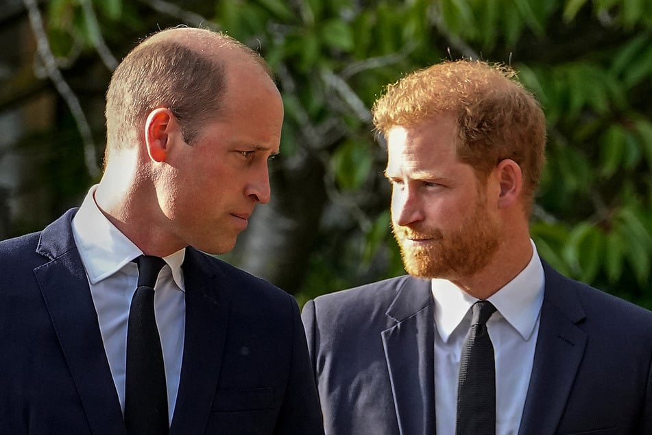 Das Verhältnis von Harry zu seinem Bruder, Thronfolger Prinz William (44), litt in den vergangenen Jahren enorm.